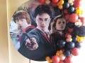 harry-potter-small-2