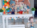 toy-story-kit-festas-small-2